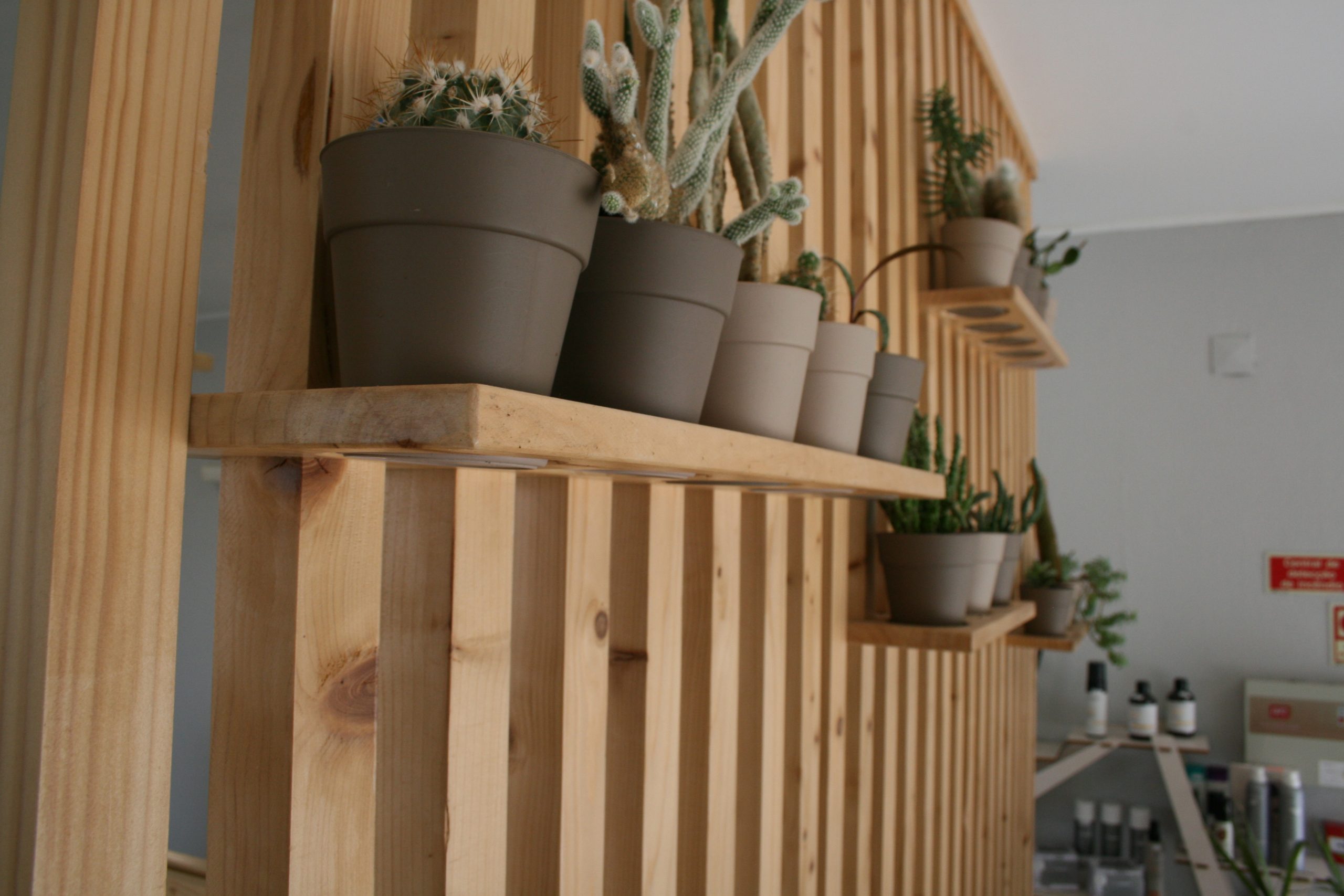 Deslumbre-se com os melhores serviços de cabeleireiro em Alfragide